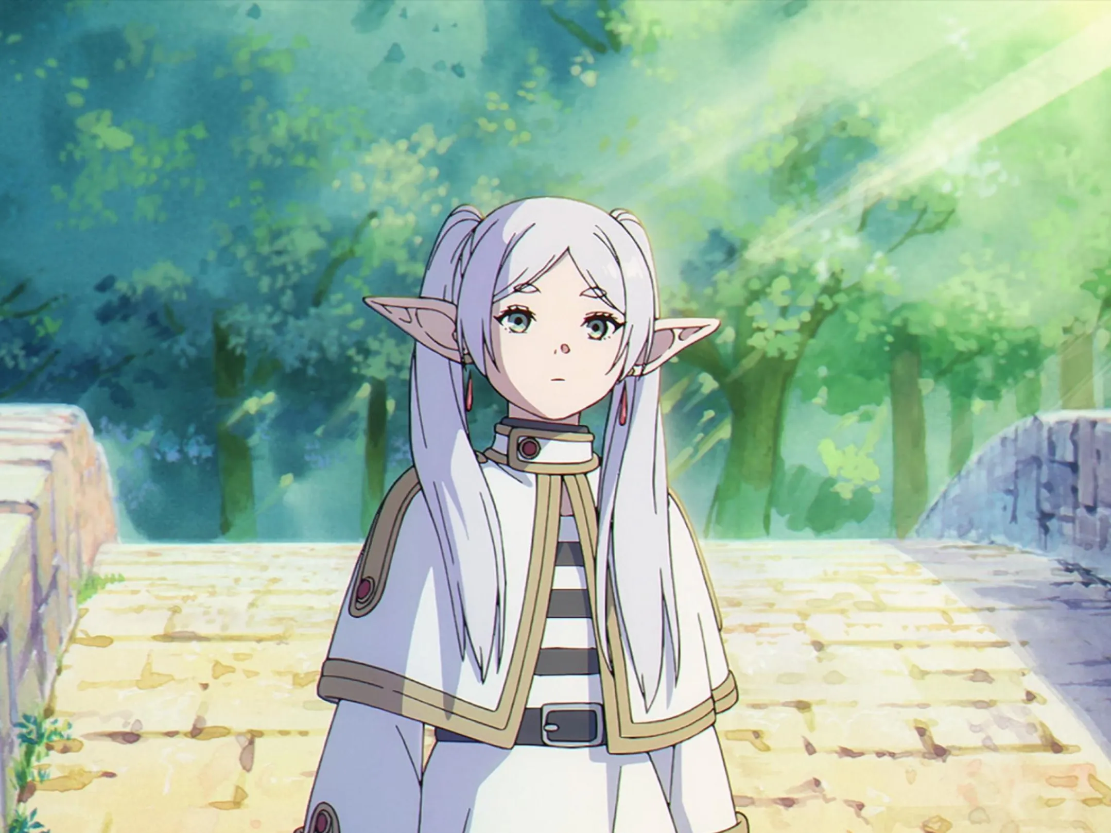 AnimeShin.com - Freieren - An award-winning manga before the anime